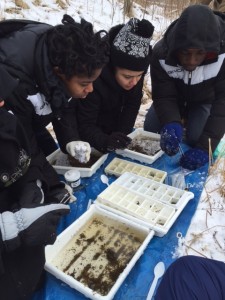 Scholars collecting samples