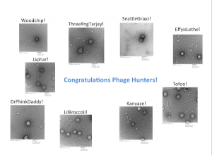 2016-12-07-phage